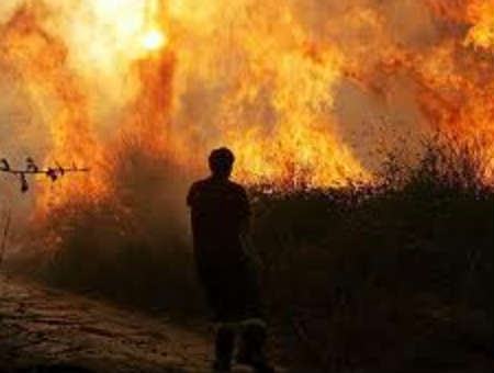 Incendiato agrumeto confiscato alla mafia 56 be0f21f126ec5e164ffe7ff5d192a0d6