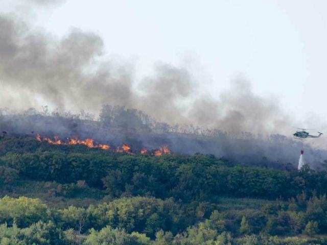 bf1f91e12d5ce1a1491ea900a31ba6e4