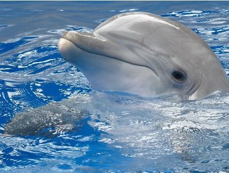 bf9c0da63896d08ffd0aa77bf80aa005