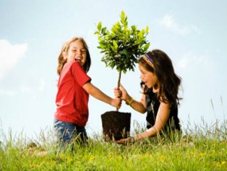 bfe9d5067251a3e1d19b3bd8b3ec180b