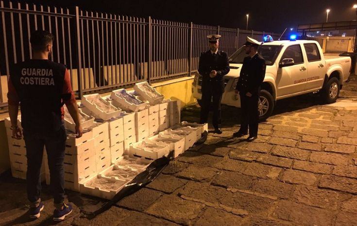 Sequestrati ben 7 quintali e mezzo di pregiatissimo “bianchetto” 55 Bianchetto sequestro Guardia Costiera
