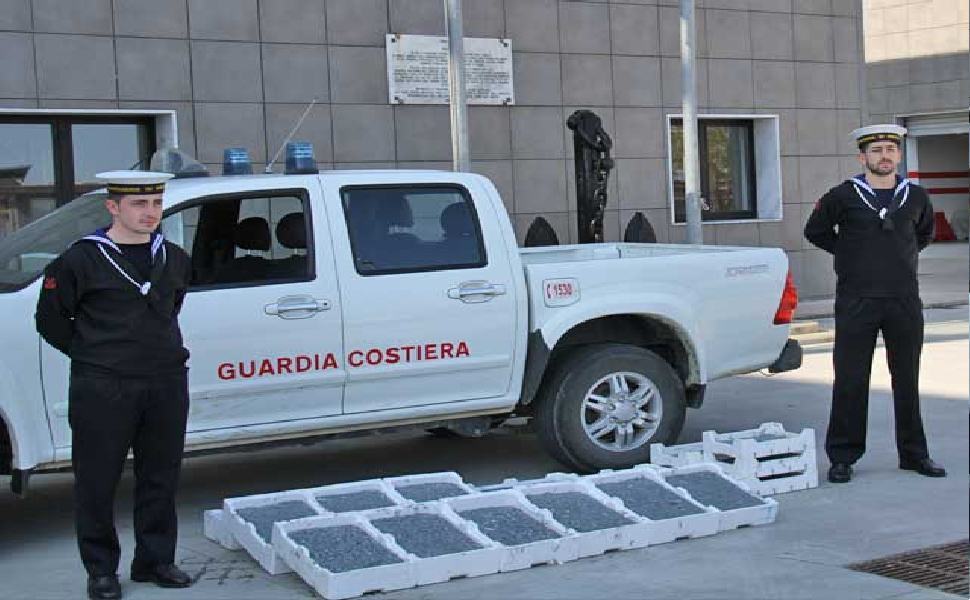 bianchetto sequestrato capitaneria