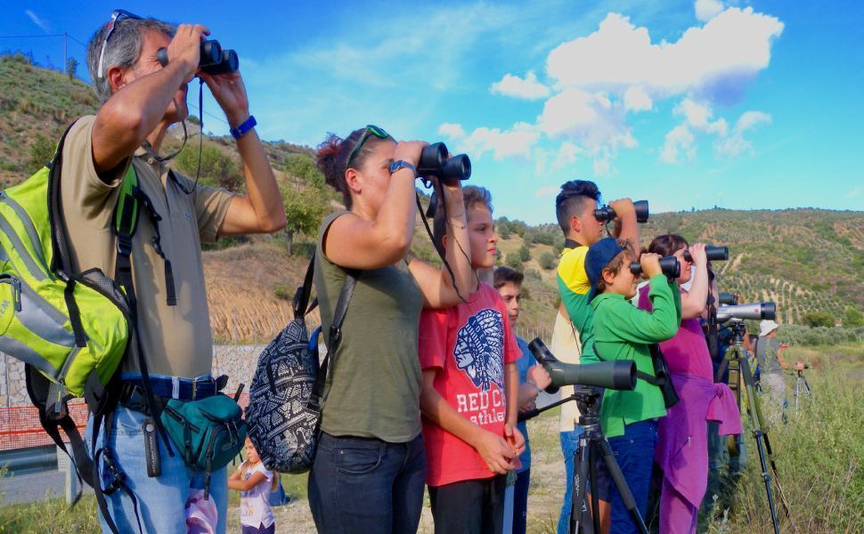 Birdwatching, tre appuntamenti organizzati dalla Lipu in Calabria 51 birdwatching 1