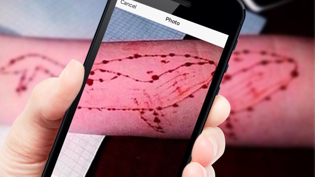 Tredicenne salvata dal gioco mortale Blue Whale, coinvolti minori calabresi 2 bluewhale
