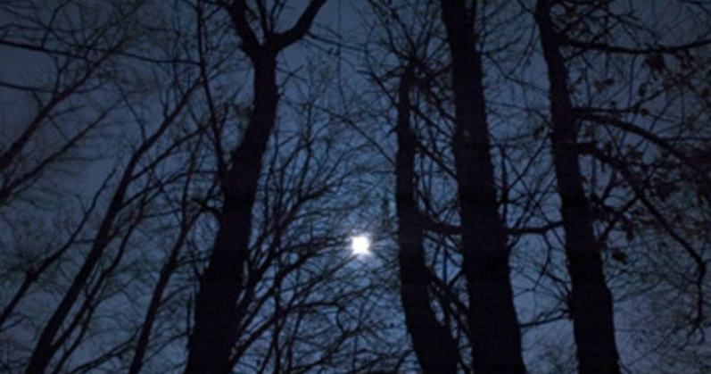 Si appartano, litigano, lui lo investe con l'auto. Ferito, passa la notte in un bosco 51 bosco notte