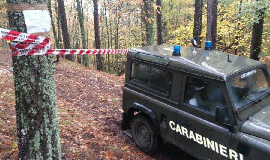 bosco sequestro cc forestali