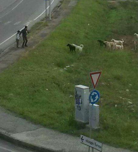 branco villaggio europa aggressione