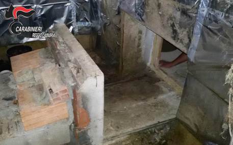 Bunker sotterraneo usato per coltivare marijuana 51 bunker 2