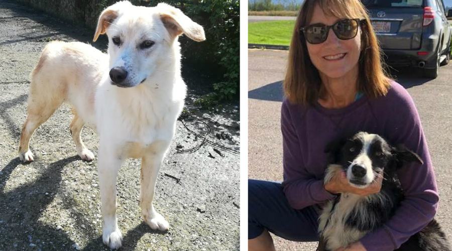 byron carole e katie