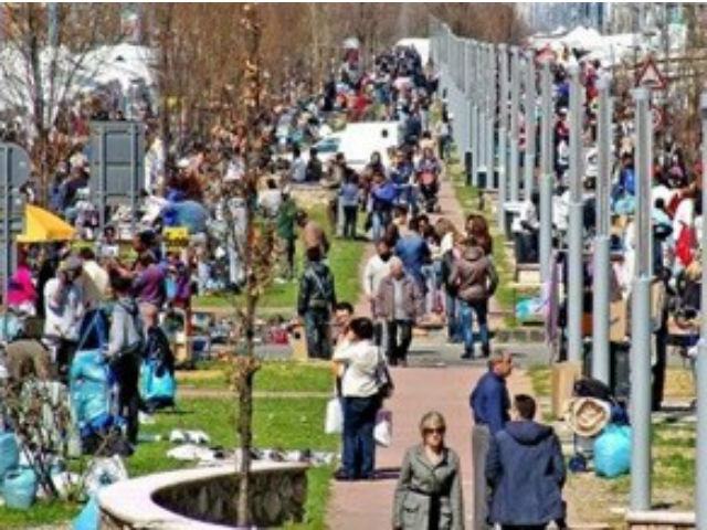 c0506552368b15678dda9d96ac195902