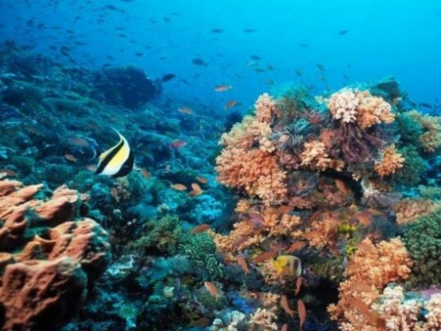 c1a11e28afb03c9d81c096faa0a5ce8e