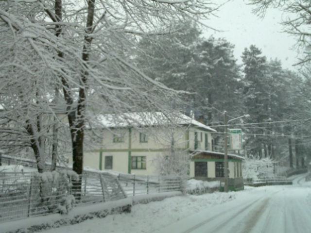 c1f40f2fc0051907e417d36ab482a038