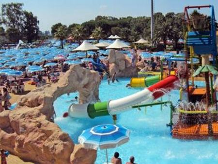 c1f74303d2e9fe86004dc43cc969e023