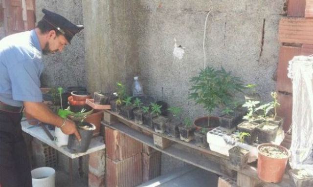 c2ab90d10b2b1be98fb7e747d1fe6e9d