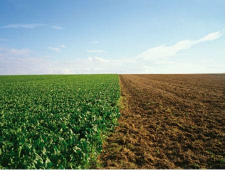 c2c2fca61f8d2e9320309661d91856b6