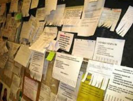 c3198634fb4918e60b0ad2018a293052