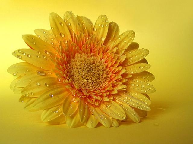 c41ebc0710bc5e43b69813000dcdbf48