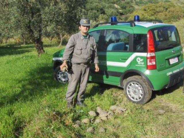 c74e438bec6c20ca818fb245d61cc485