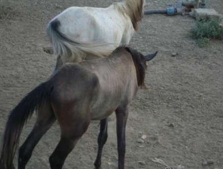 c830a8fb2c96752389e854d3b6942bfb