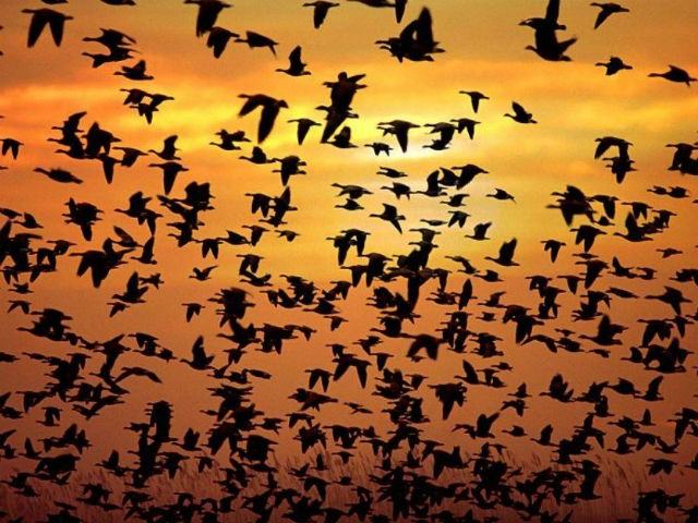 c919010fcec2d336e223258a493e5ce9