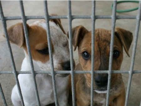 c934c740ade68f900490ccb48f38bf63