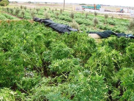 c93d92bc9478526b995ed954e69bacc7