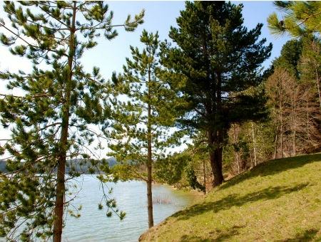 c985ecb37d1d643ee2f311d304e46f70