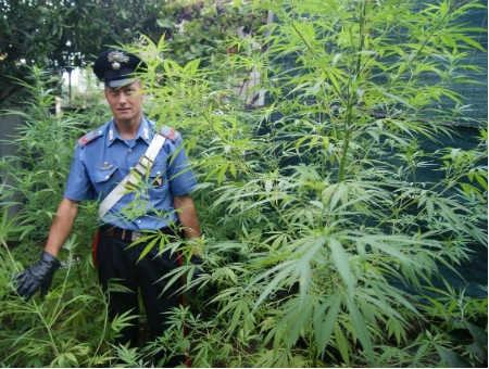 c98f9d0735b512984a27854298cb79c6