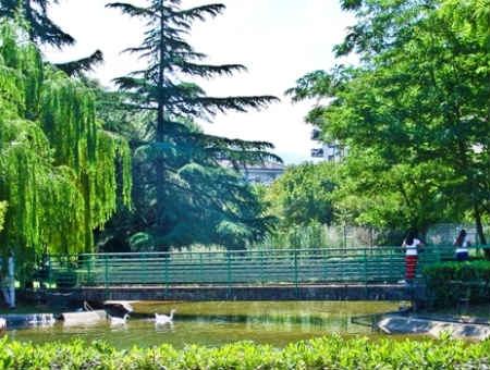 c9b51066b75d701e9fc0b16fc0784913