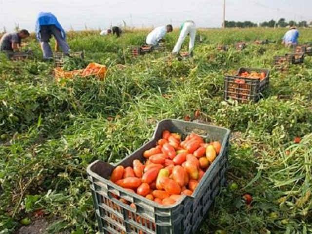 ca249afefcc73efd56c88284e7e76337