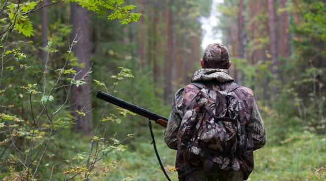 caccia 330798.660x368 1