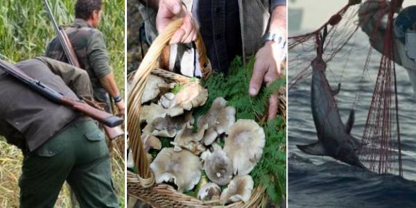 caccia-funghi-pesca