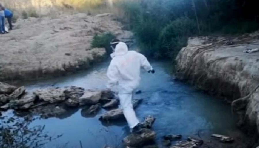 cadavere ruscello isola capo rizzuto