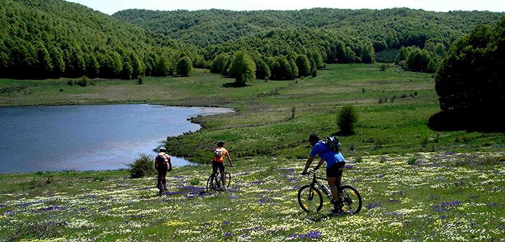 cai mtb cosenza