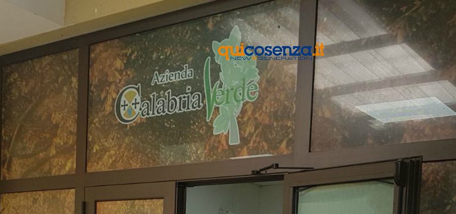 calabria verde 4