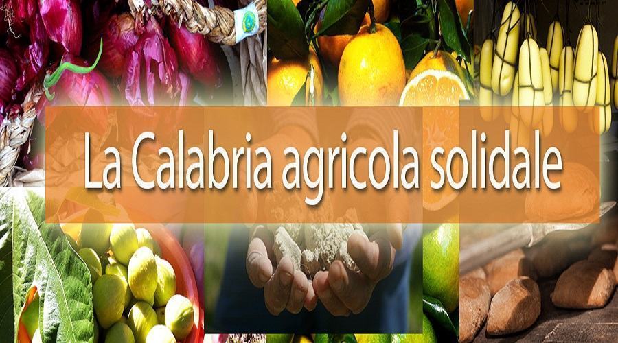 Nel segno della solidarietà: ecco “La Calabria agricola solidale” 51 calabria agricola solidale