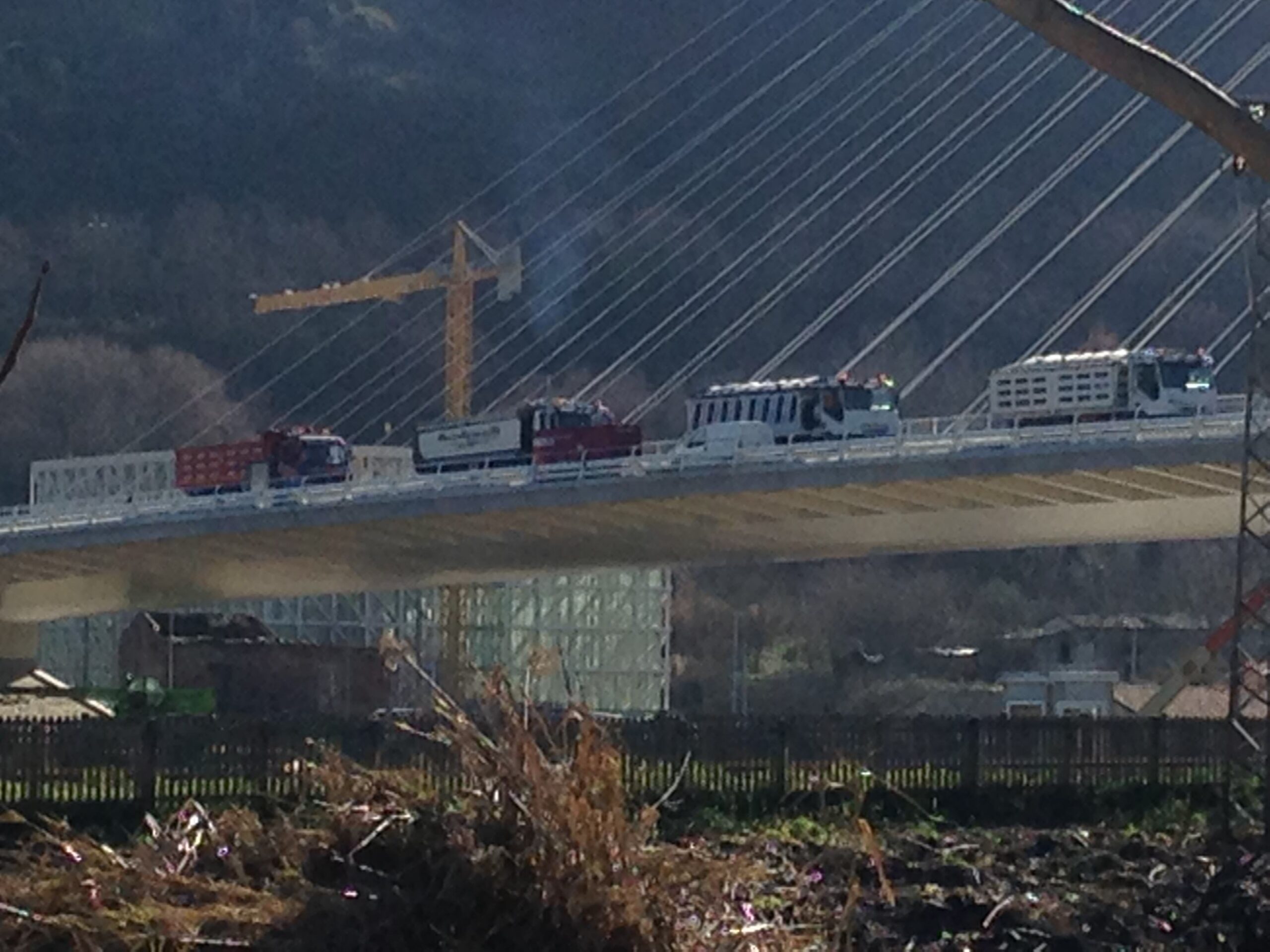 calatrava cosenza 32 1 scaled