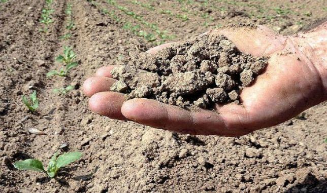 caldo agricoltura calabria