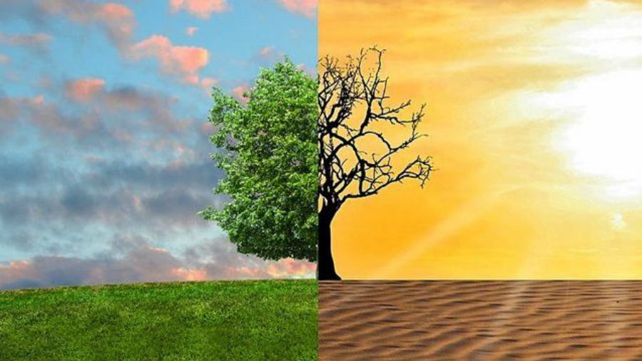 cambiamenti climatici