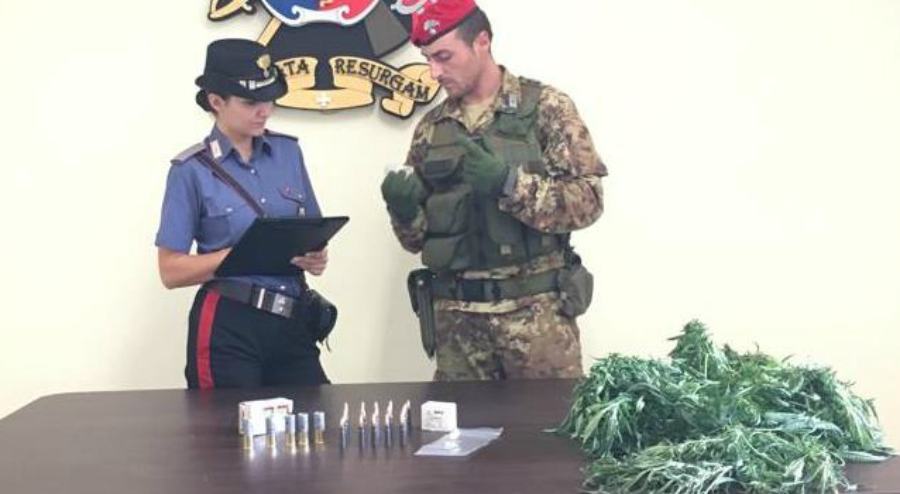 canapa e munizioni da guerra oppido