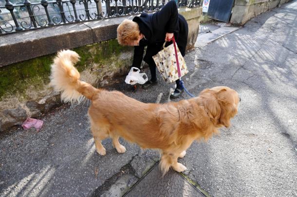 cani Ge 150220108115 F120223191407 U130907472509npD 177x136 1