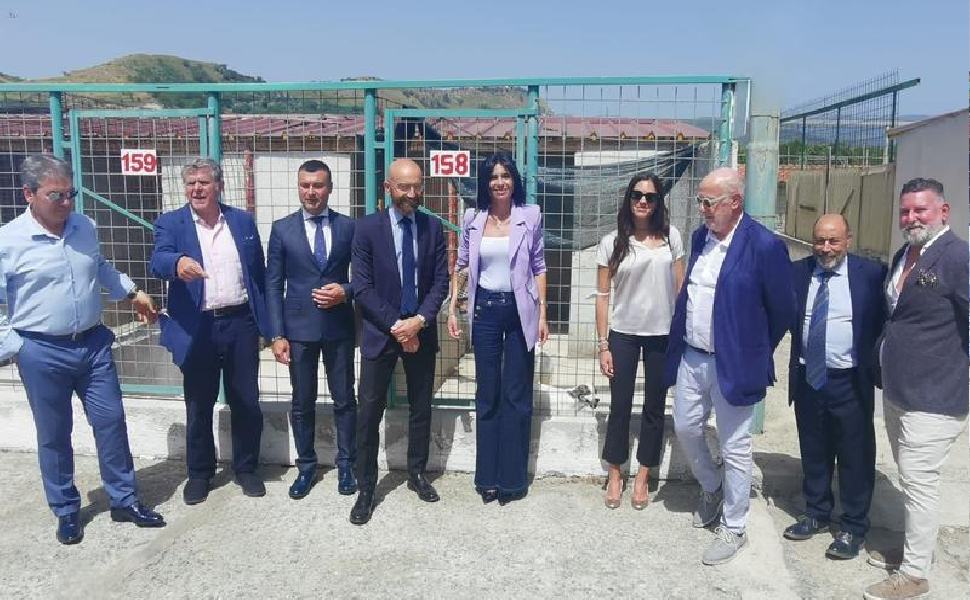 canile SantIlario dello Ionio