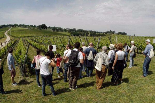 cantine aperte Calabria