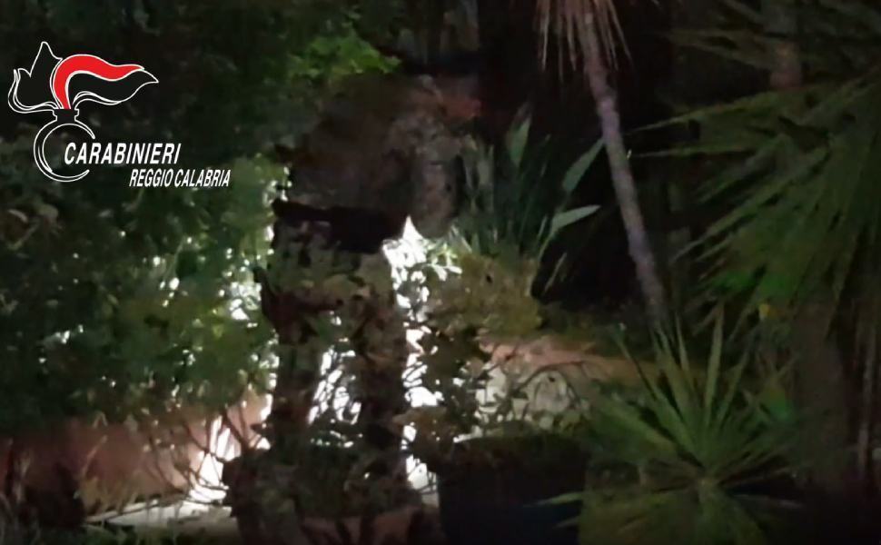 carabinieri Ros reggio 1