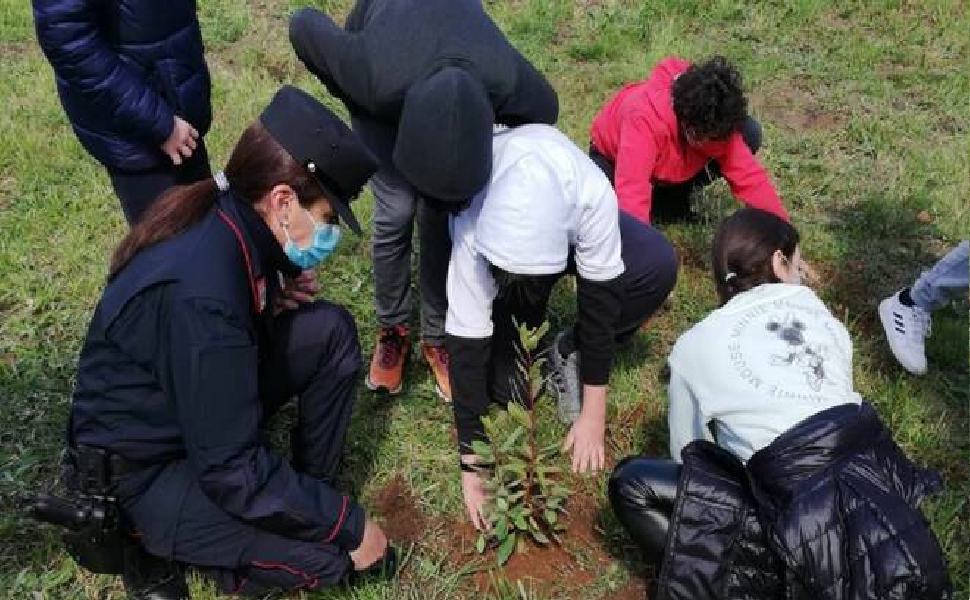 Piantare un bosco diffuso, il progetto affidato anche agli studenti di Cosenza 51 carabinieri biodiversita alberi