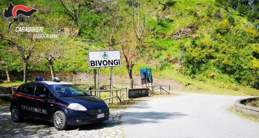 Abbandona gli scarti degli animali nella vegetazione, macellaio denunciato 51 carabinieri bivongi