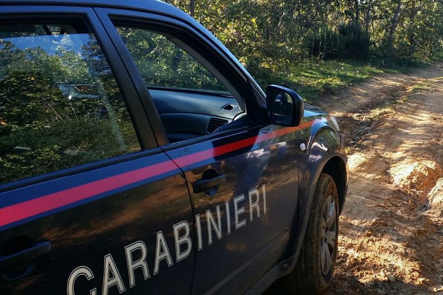 Organizzano la grigliata in zona rossa, sanzionati tutti gli invitati 51 carabinieri campagna 7