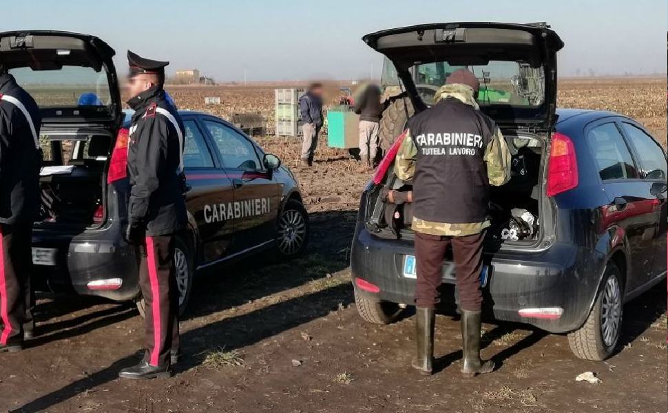 carabinieri caporalato repertorio 01 1 1