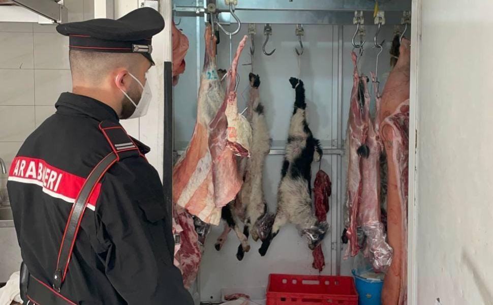 carabinieri controllo macelleria