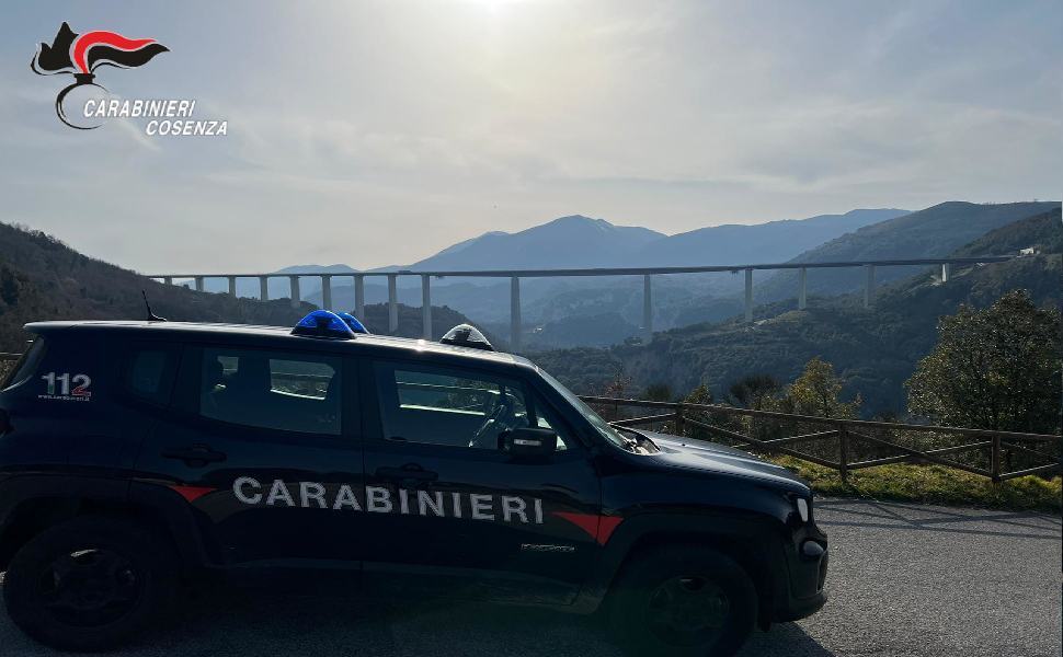 Sicurezza sul lavoro, blitz dei carabinieri di Cosenza nei cantieri. Denunce e multe 51 carabinieri cosenza laino borgo